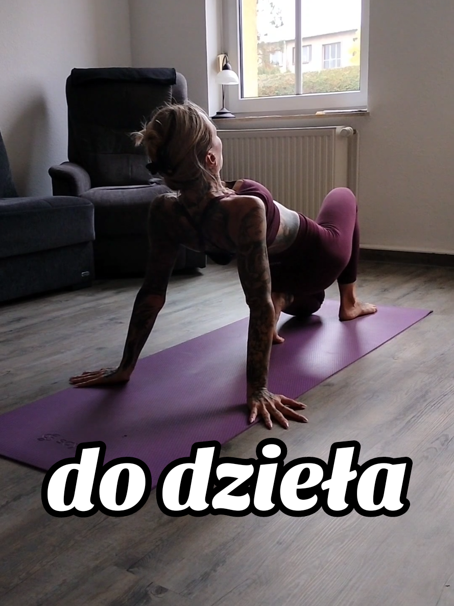 @wiksiii_fit_bus