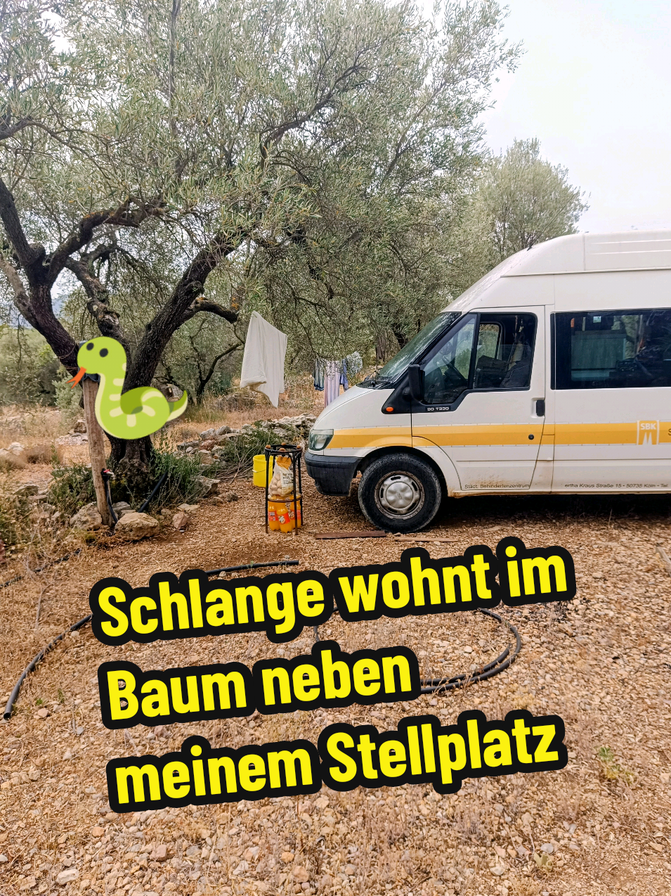 @berndout