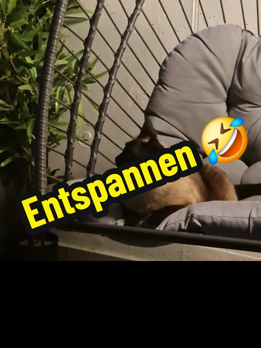 @gp