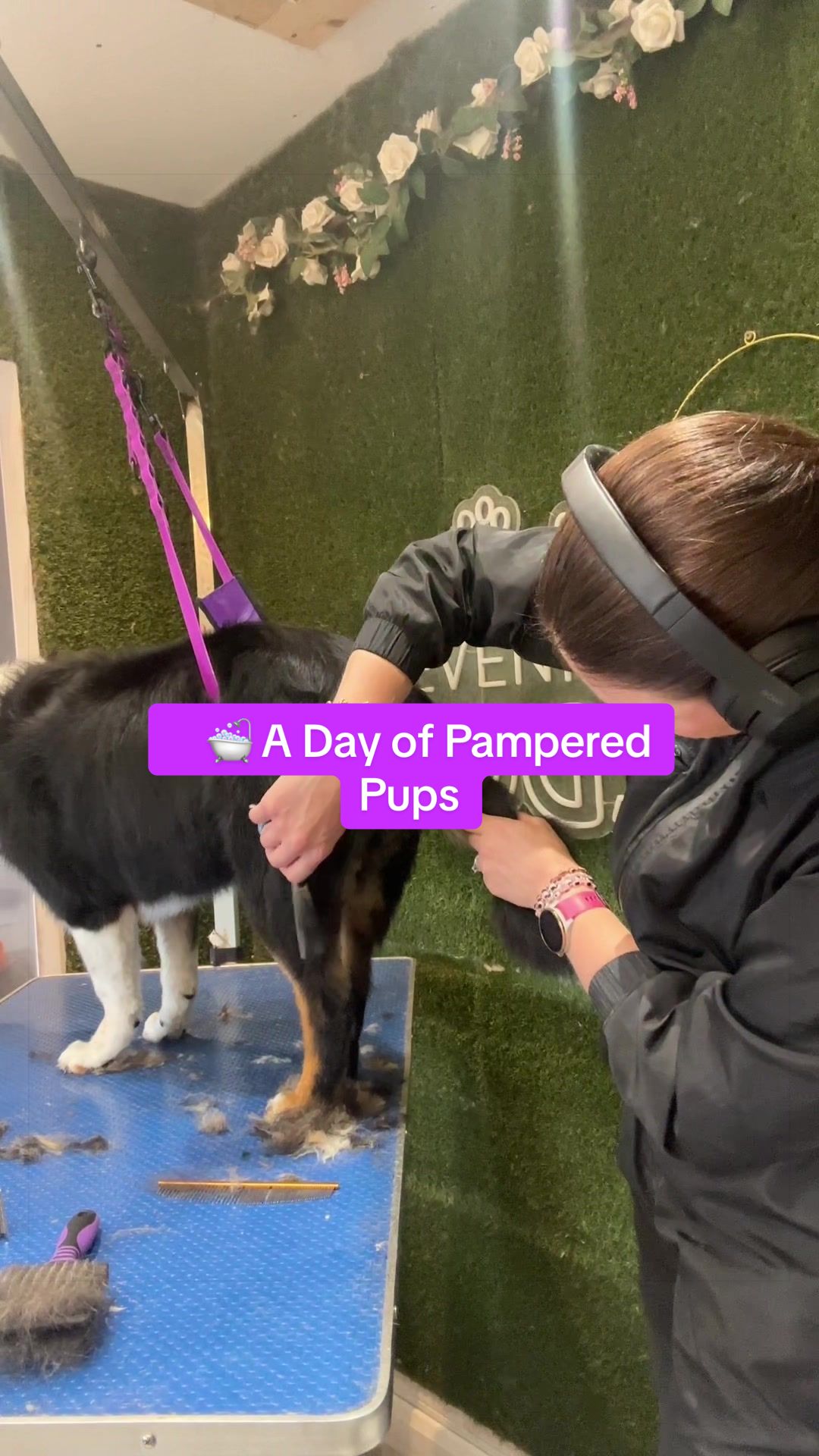 @DevenickDogs