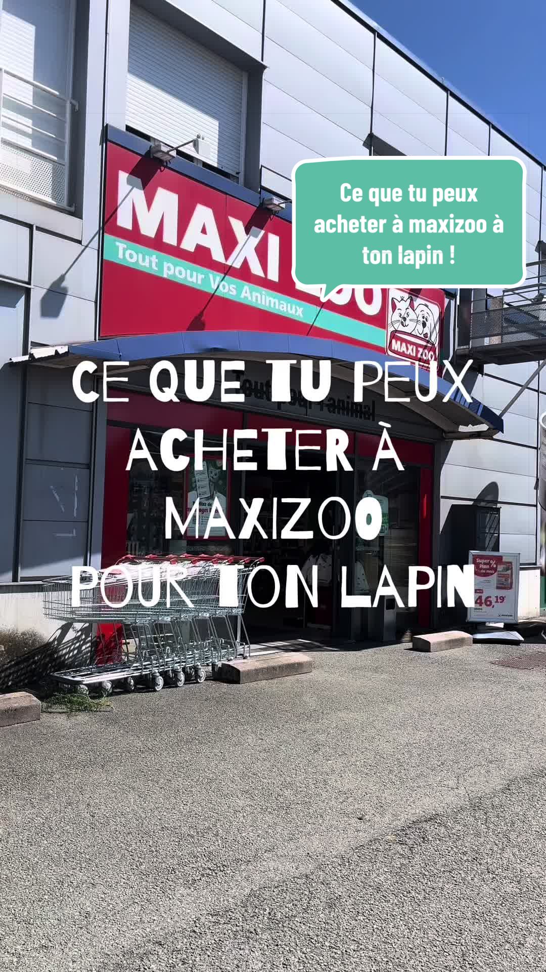 @Mes lapinouchs 🐰🐹