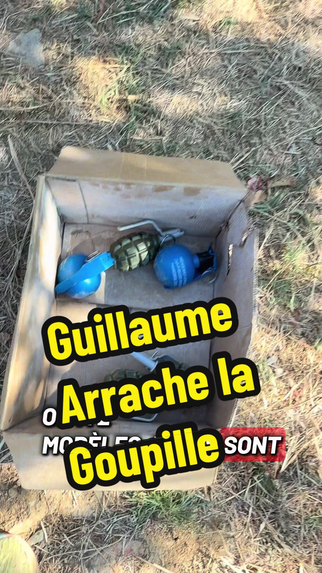 @Gianni pokefficiel