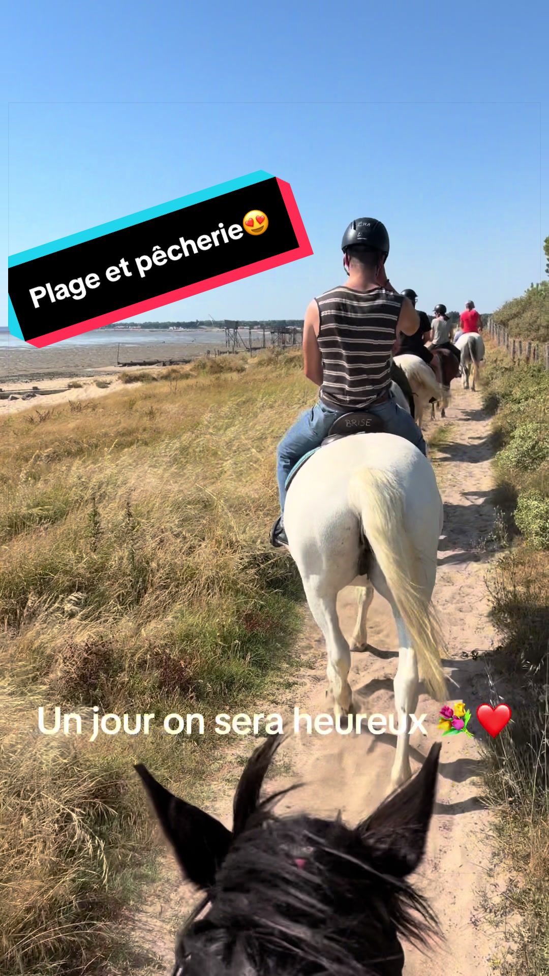 @chabzh58_sdlm