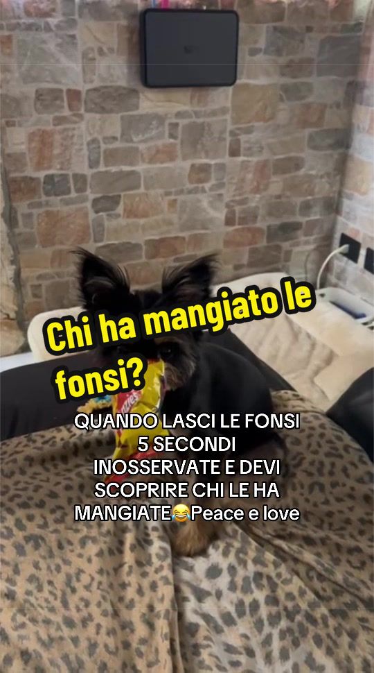 @AGO-AGOZZINO ALFREDO OFFICIAL