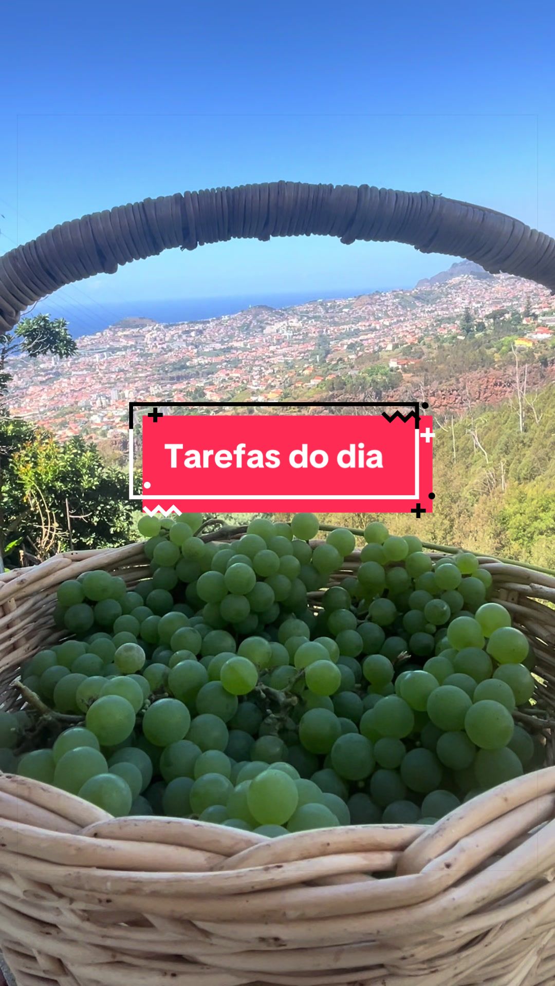 @Graca.Madeira