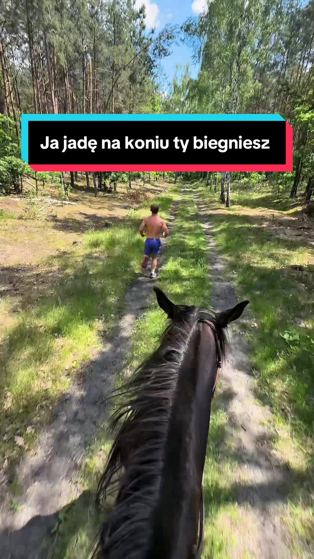 @Stado_Belli
