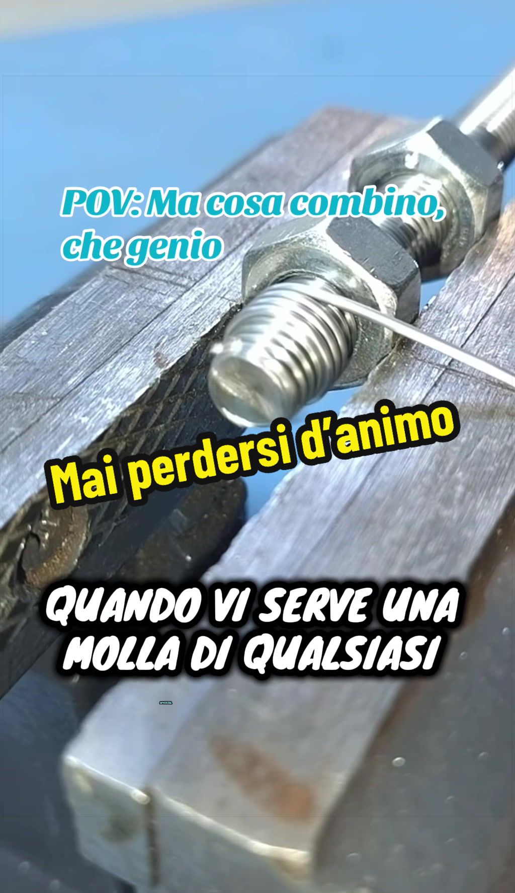 @Alessandro Cuomo ♌️
