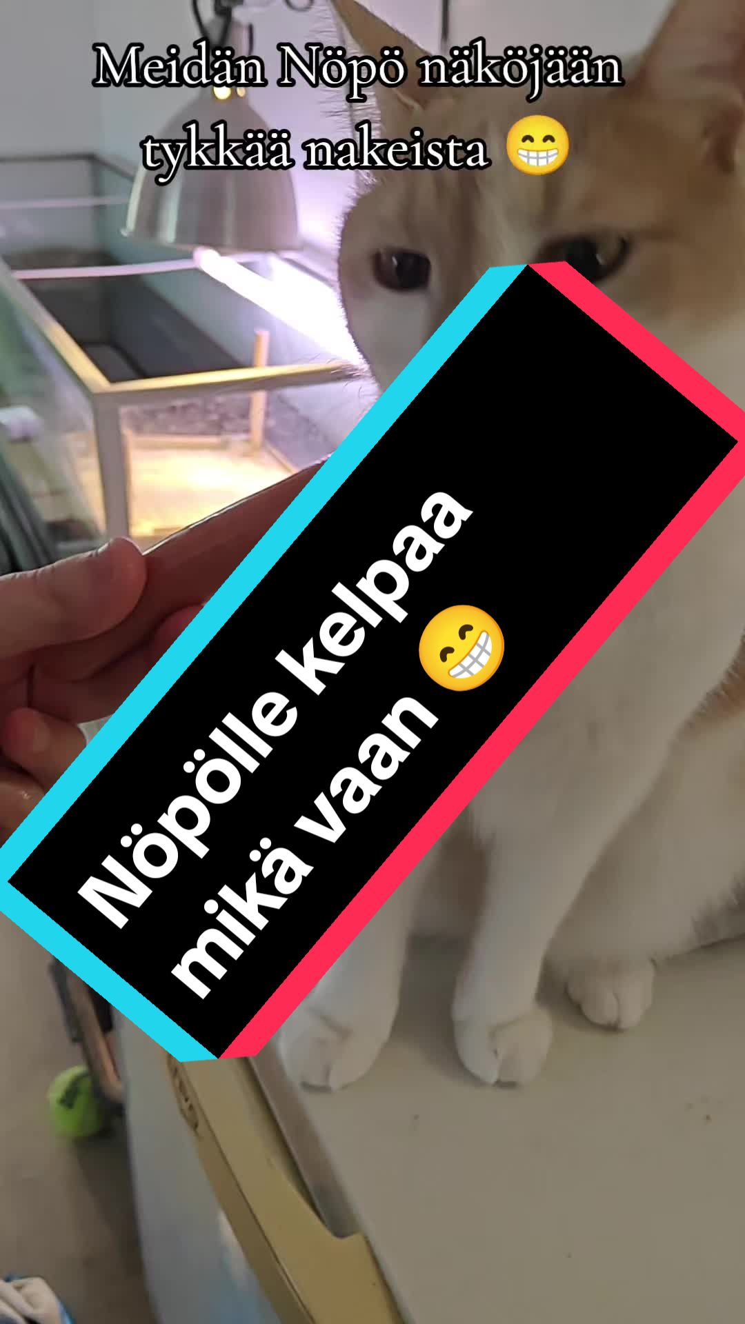 @💖💖maijumamma 2💖💖