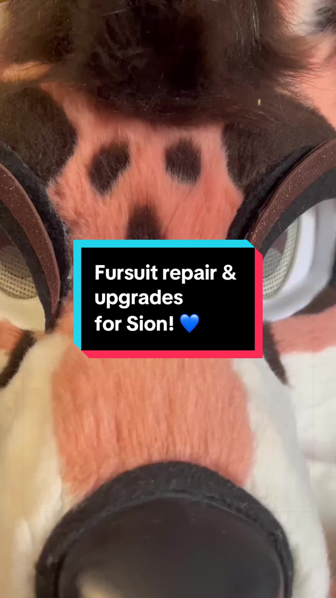 @Akushi Bluepaws 💙🐾