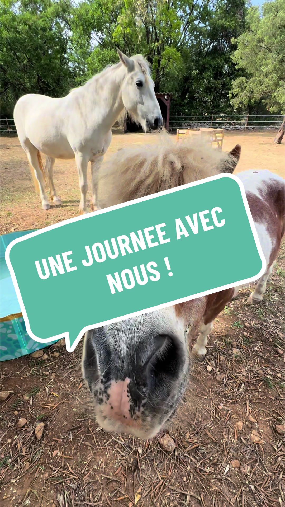 @Salut c’est Marine