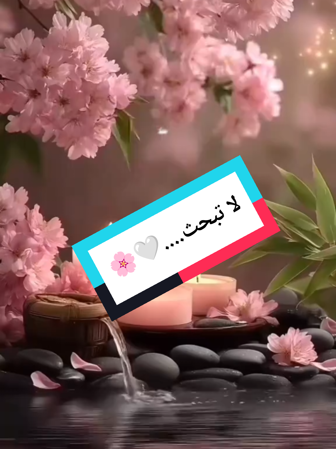 @صدى الصمت 🌸