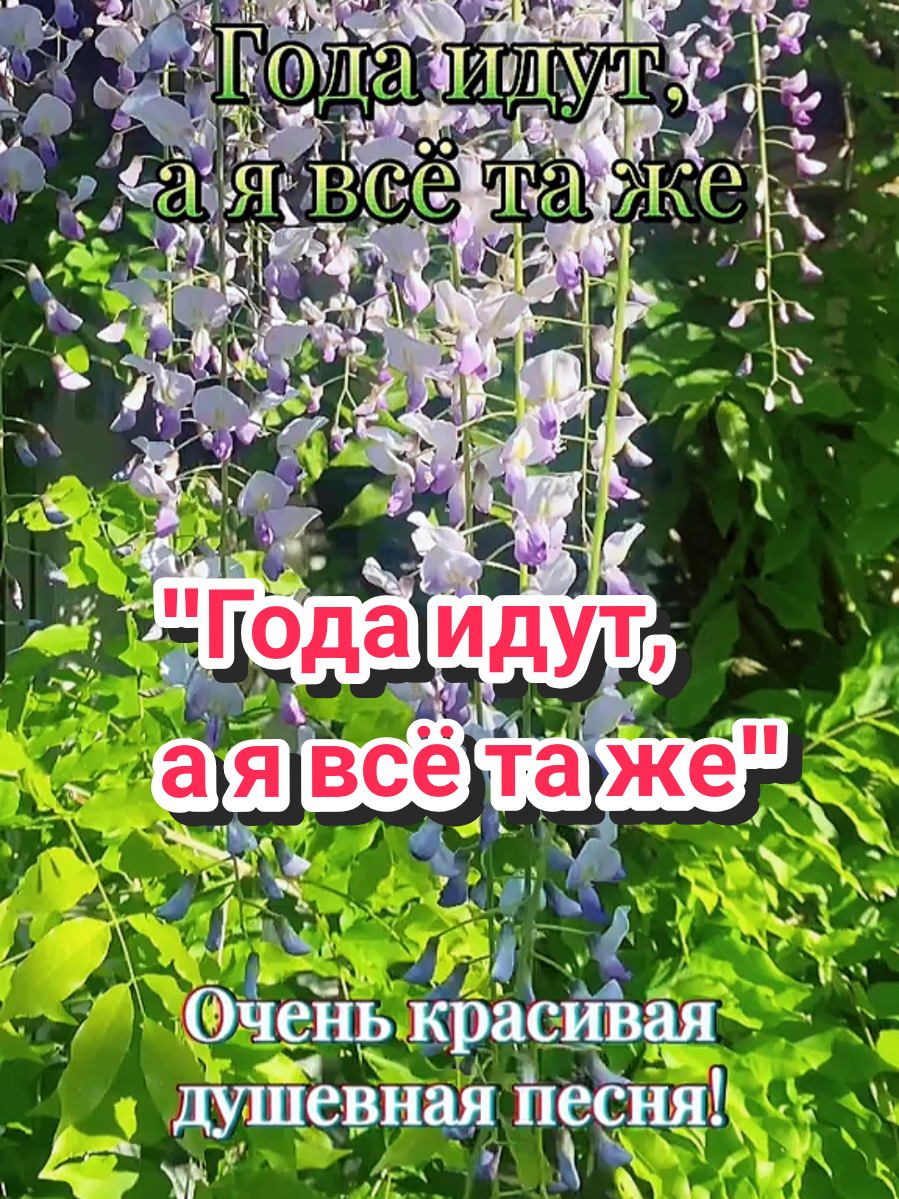 @✨Елена✨