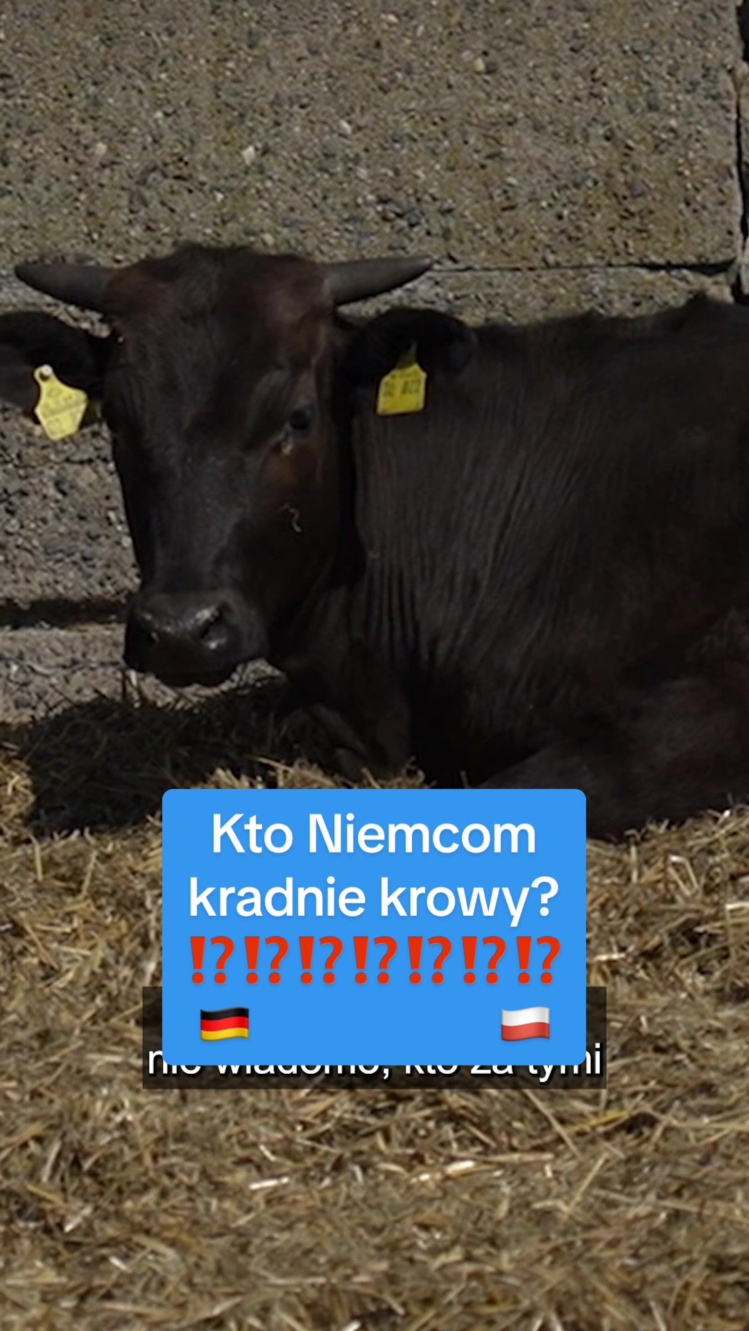 @DW Polska