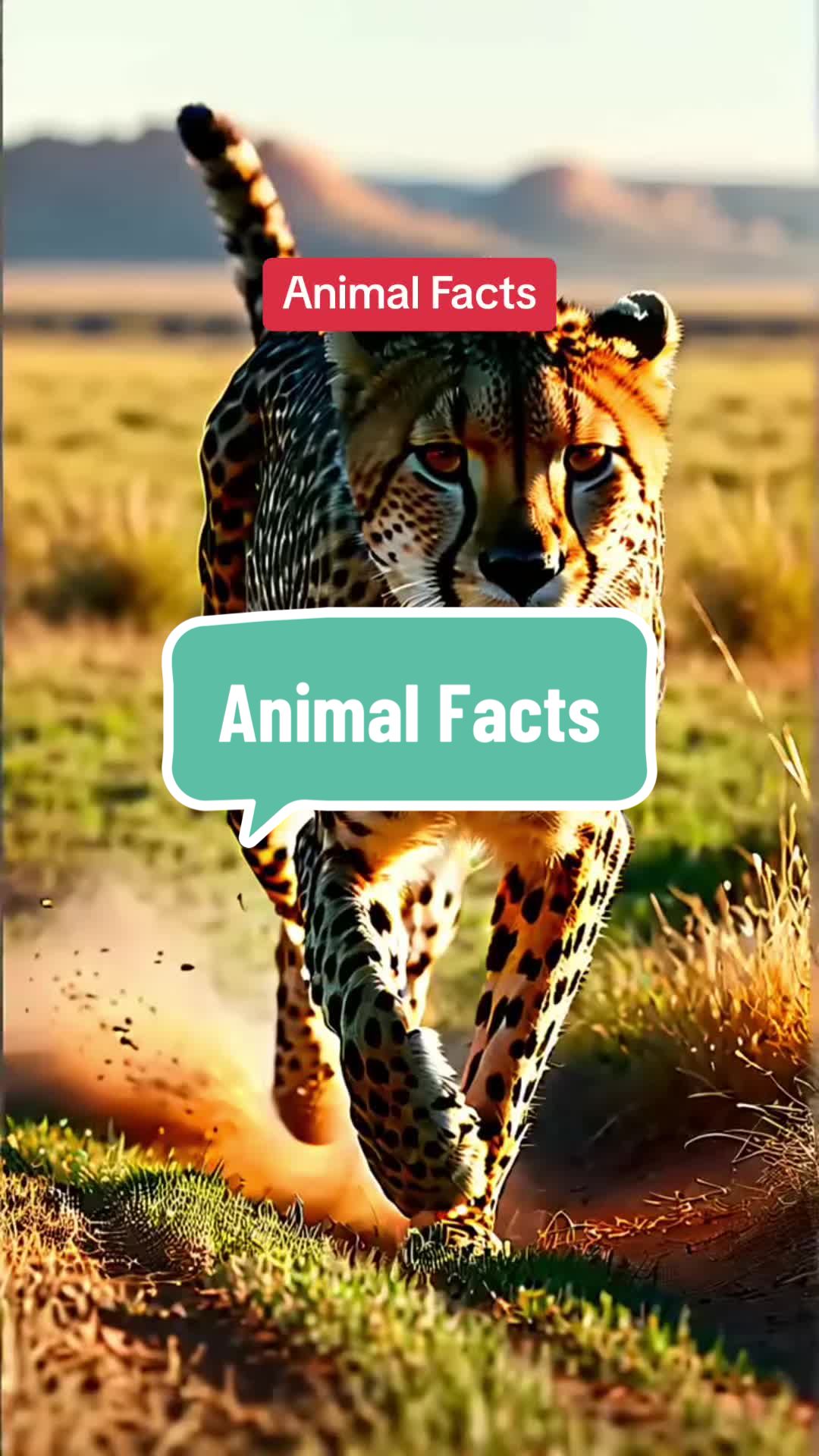 @Facts Factory