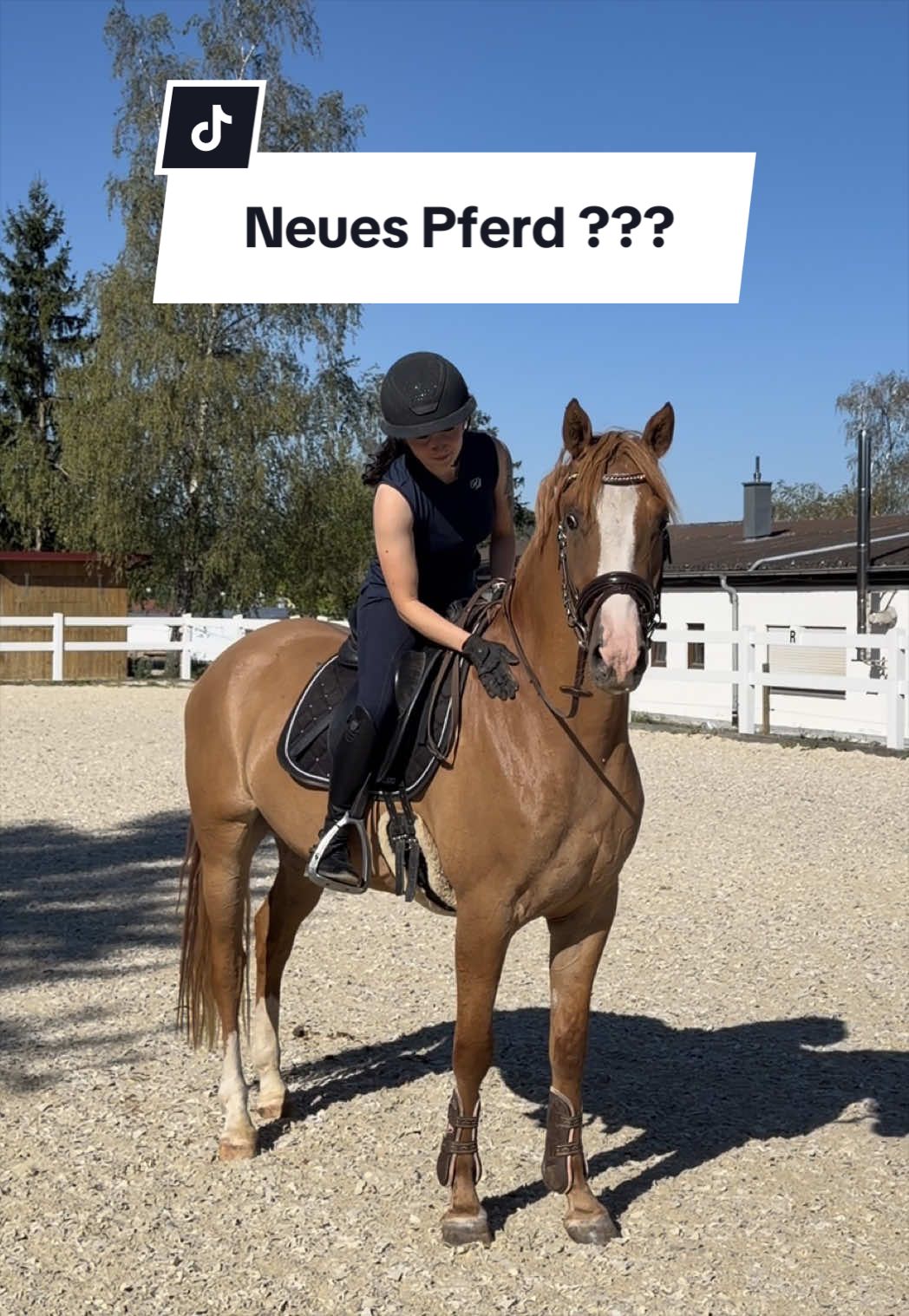 @Sophia • SL Reitschule