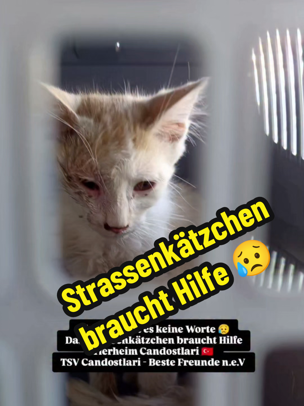 @TSV Candostlari-Beste Freunde