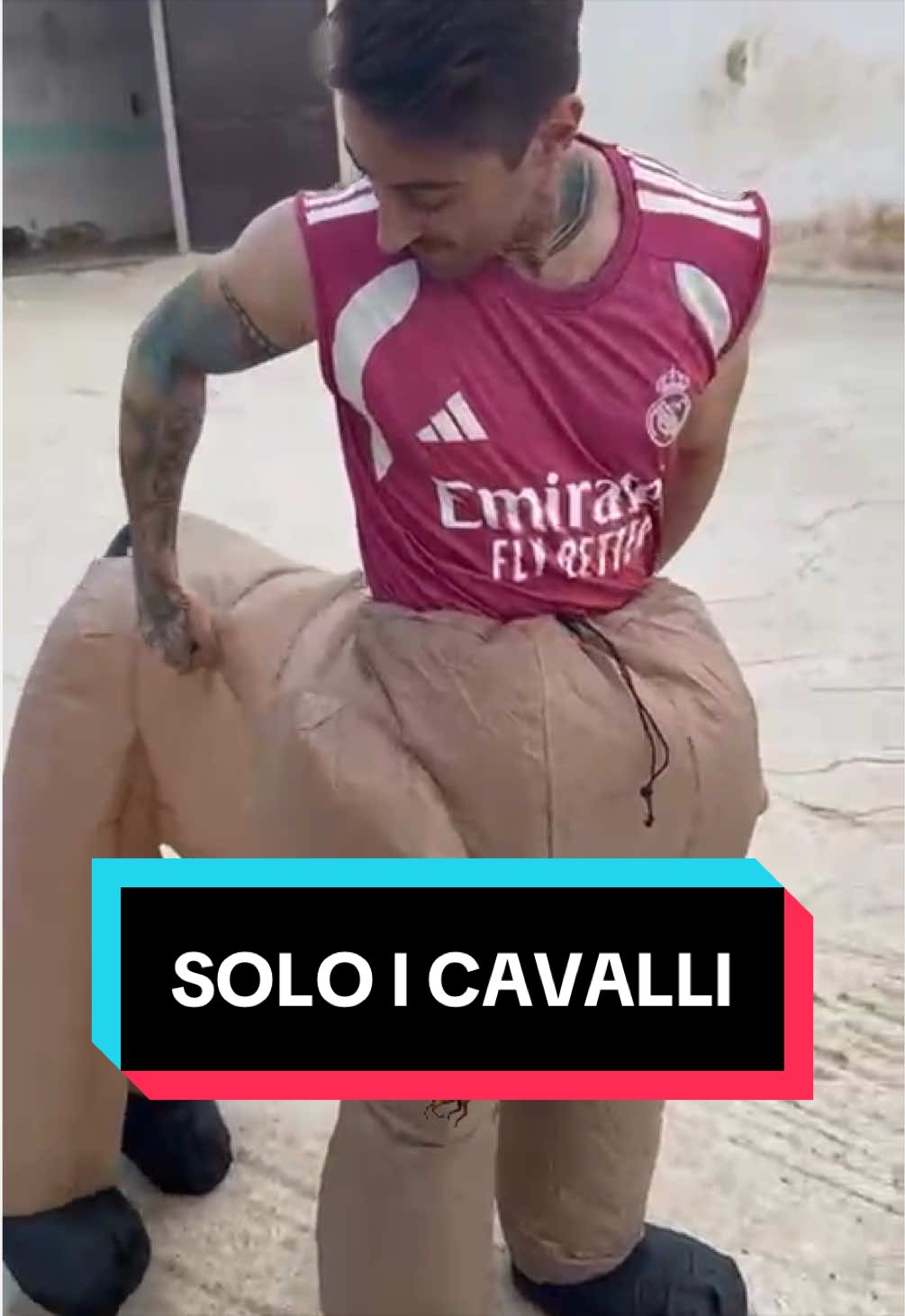 @marcomajin🐺