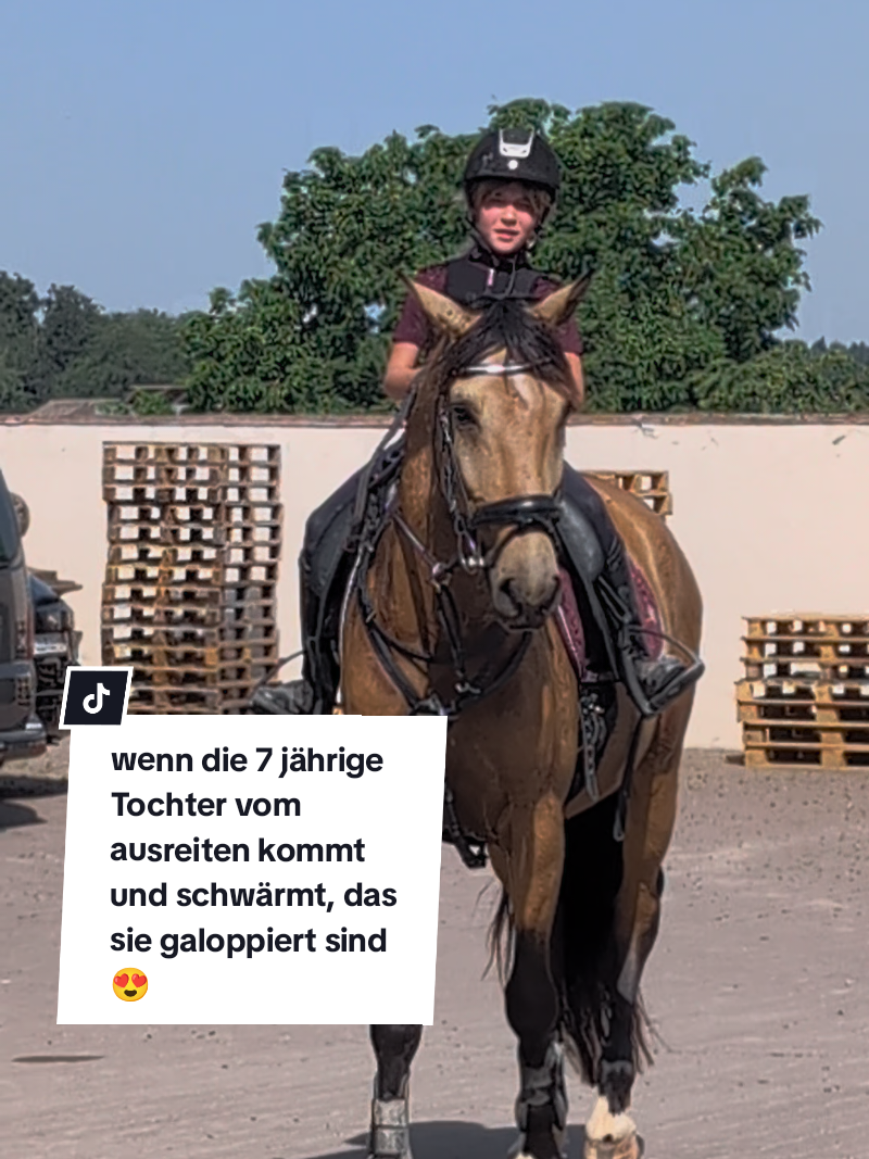 @Caro_Sofie_Offenstallliebe