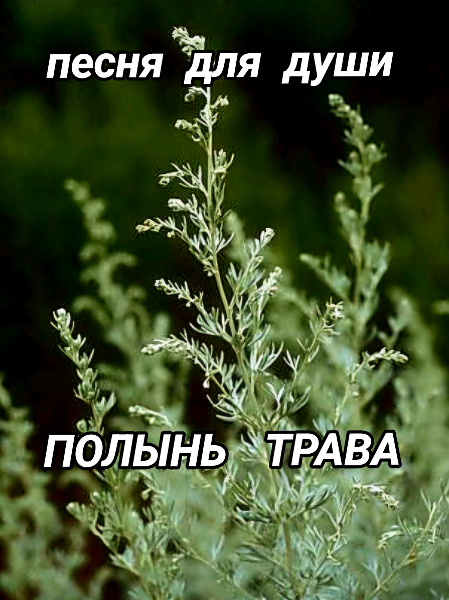 @🇰🇿 TАТЬЯНА 🇩🇪