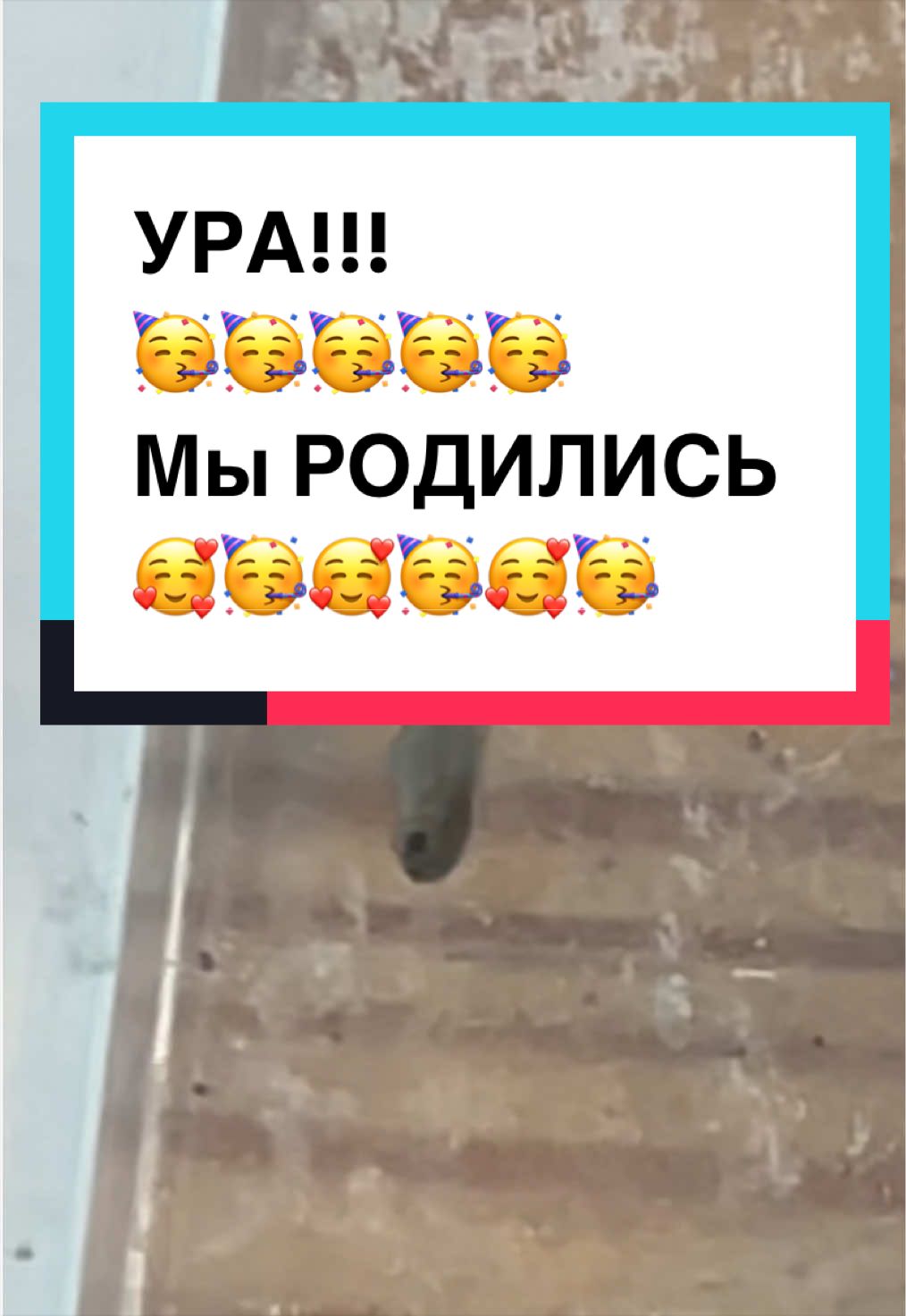 @z_l_a_tt_a