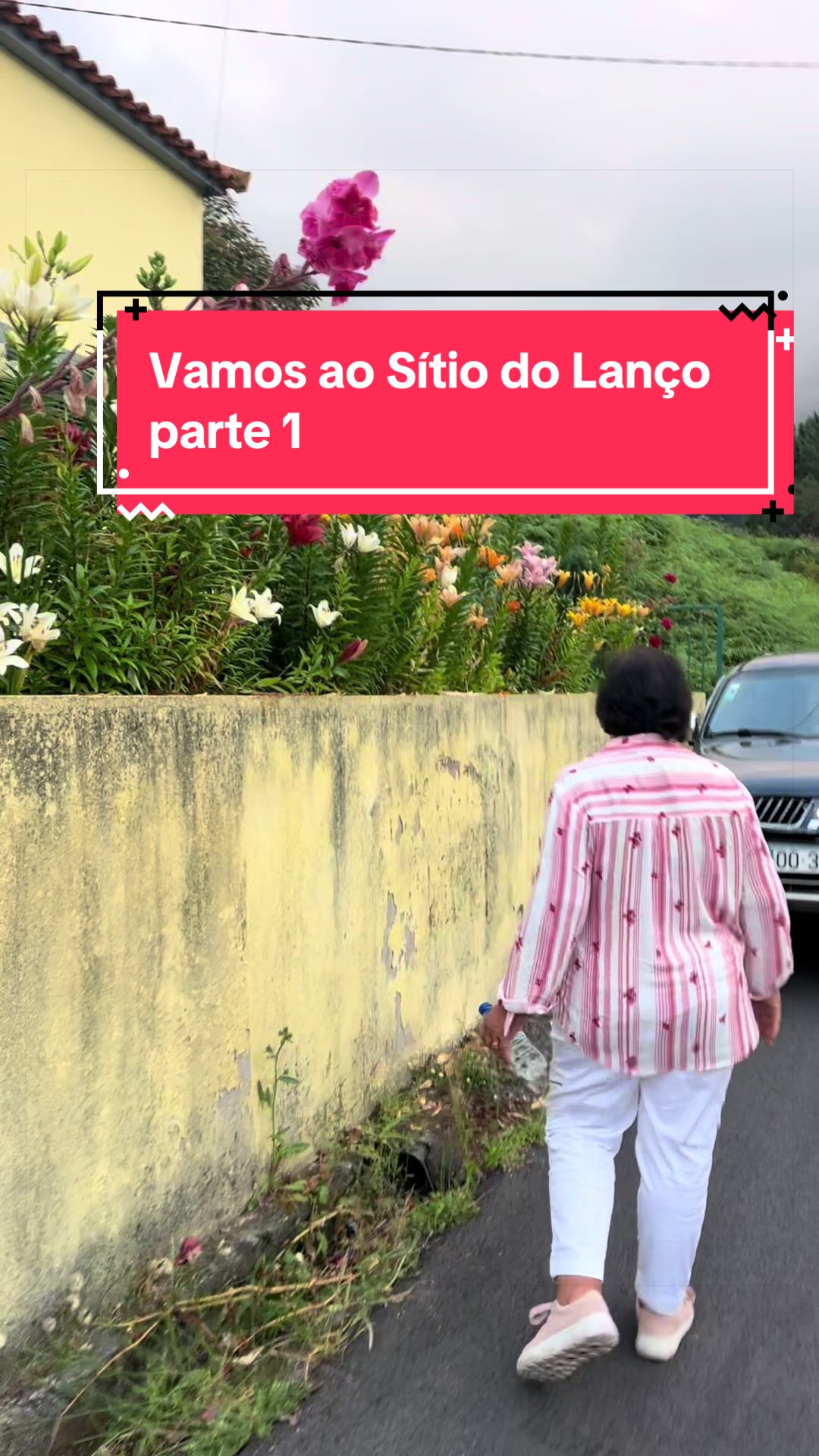 @Graca.Madeira