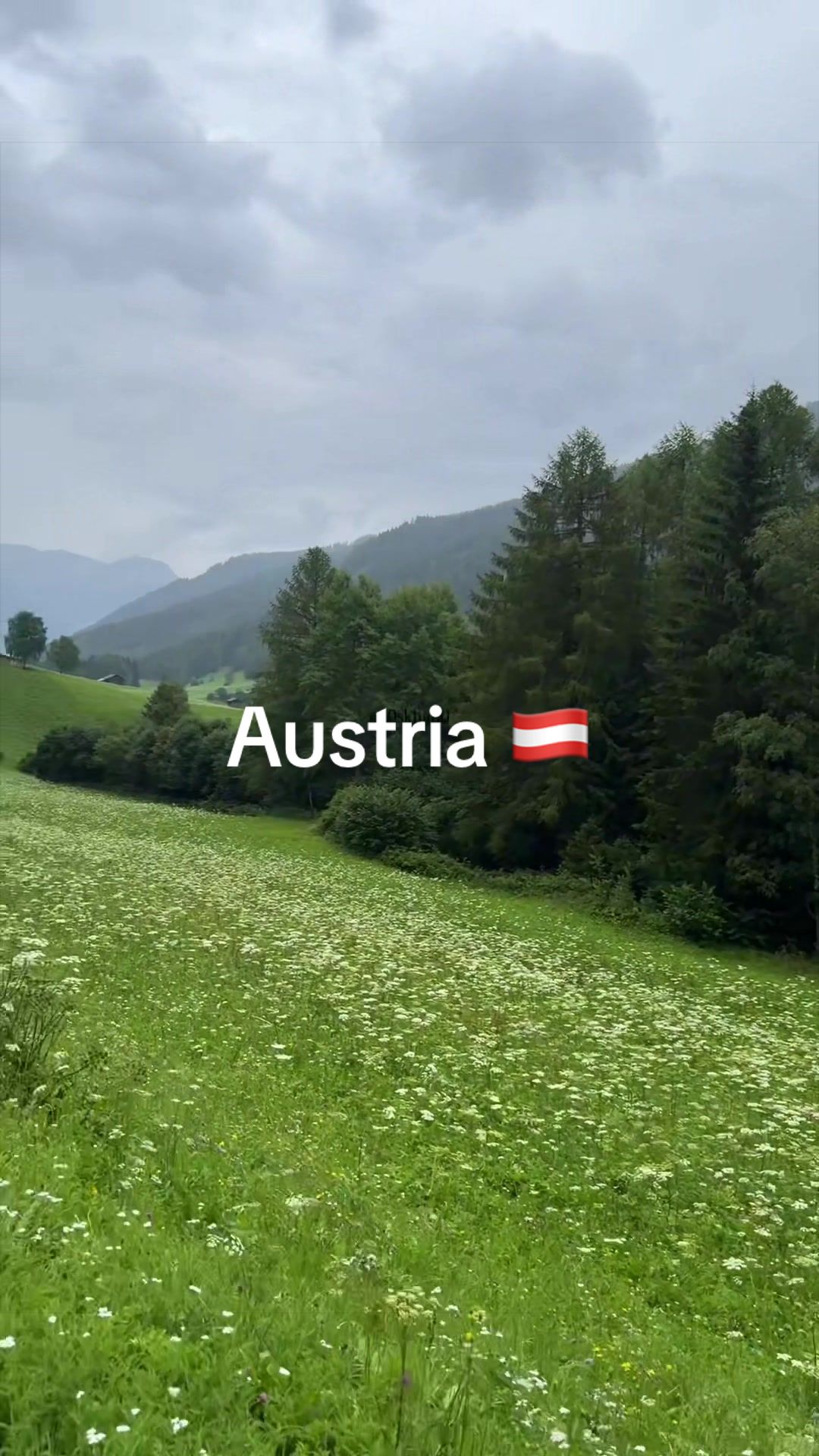 @𝐒𝐀𝐌🇫🇷