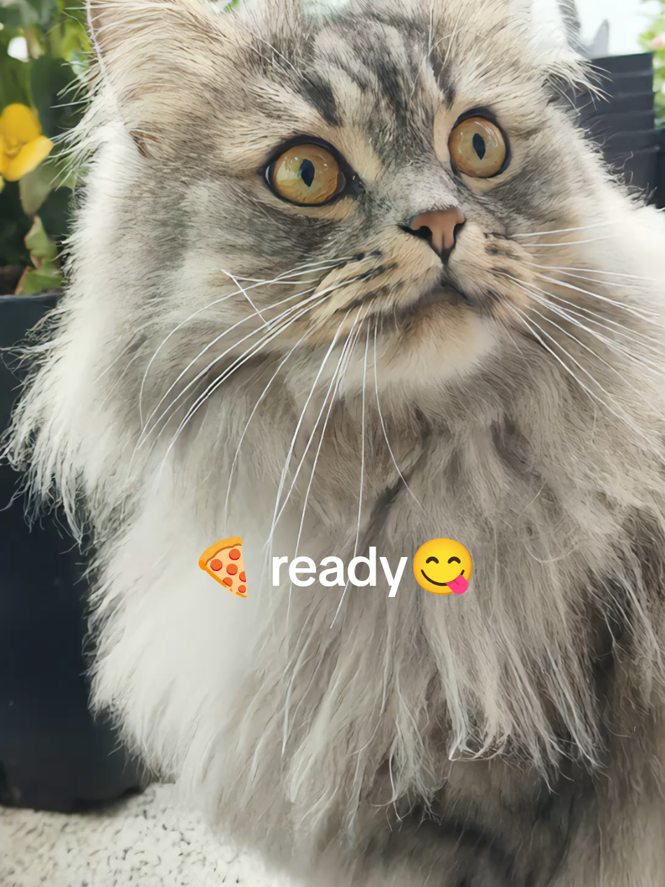@LeonMylo