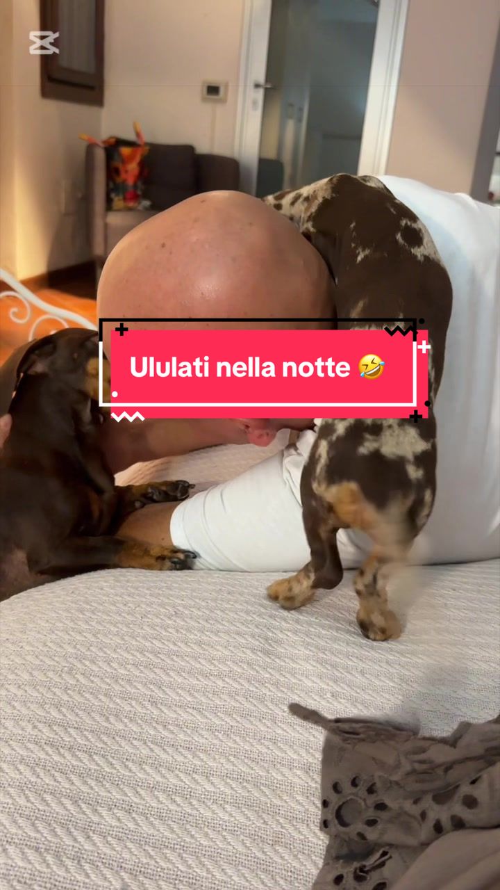 @MillyGraceDrusilla_LeFagioline
