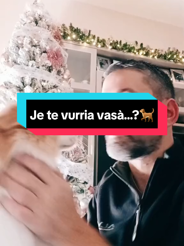 @Manuelnapo84
