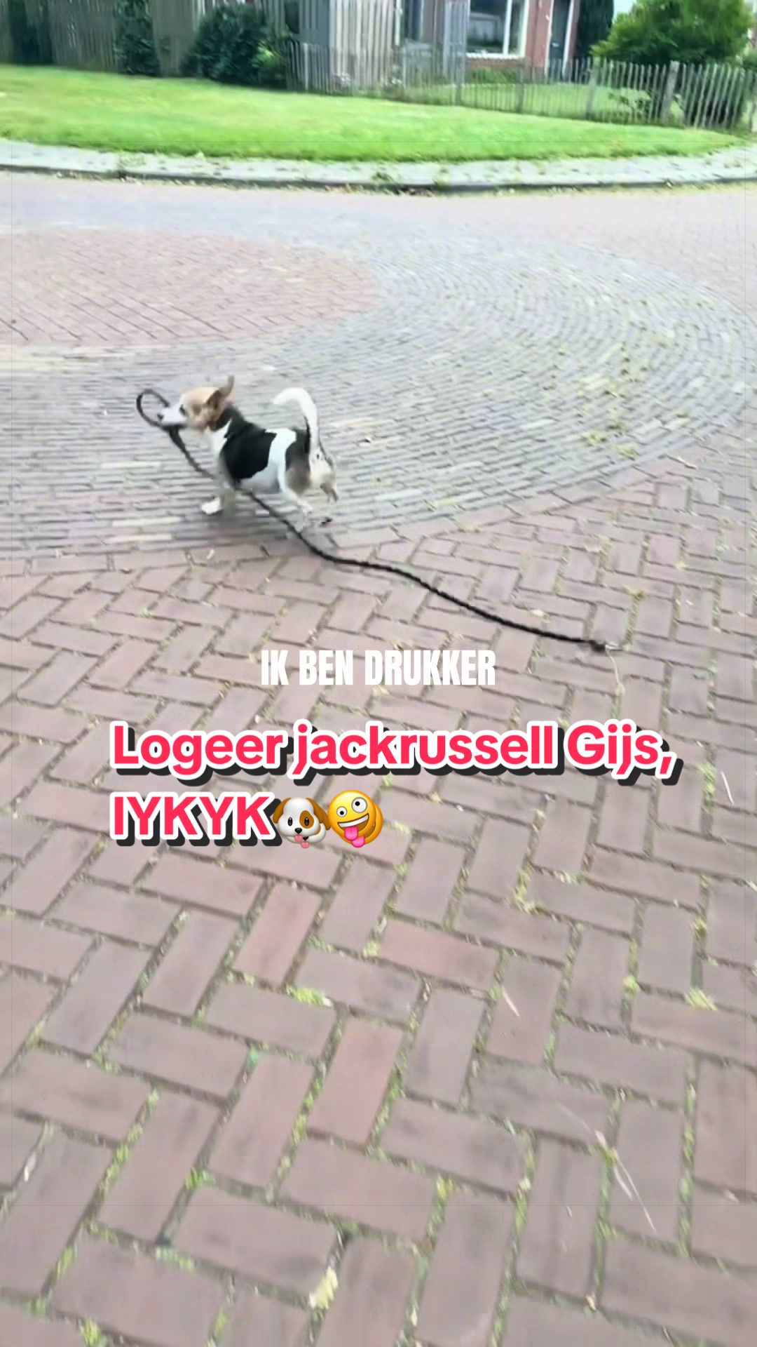 @Saskia Hakze