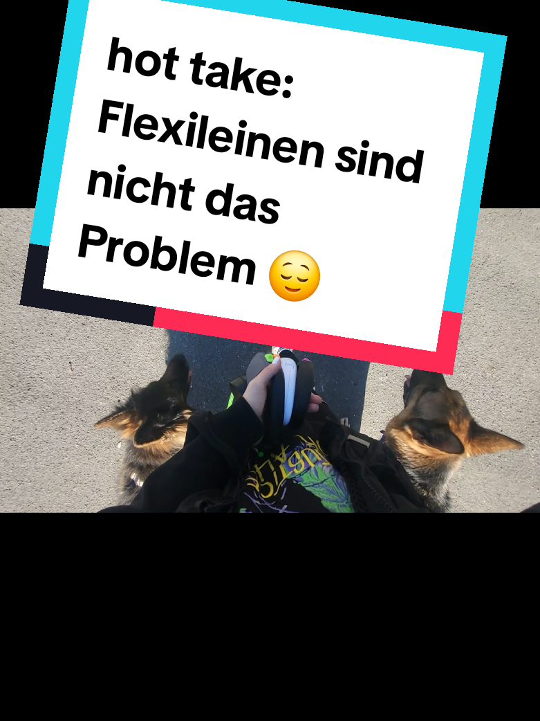 @Hundeschule Mit vier Pfoten