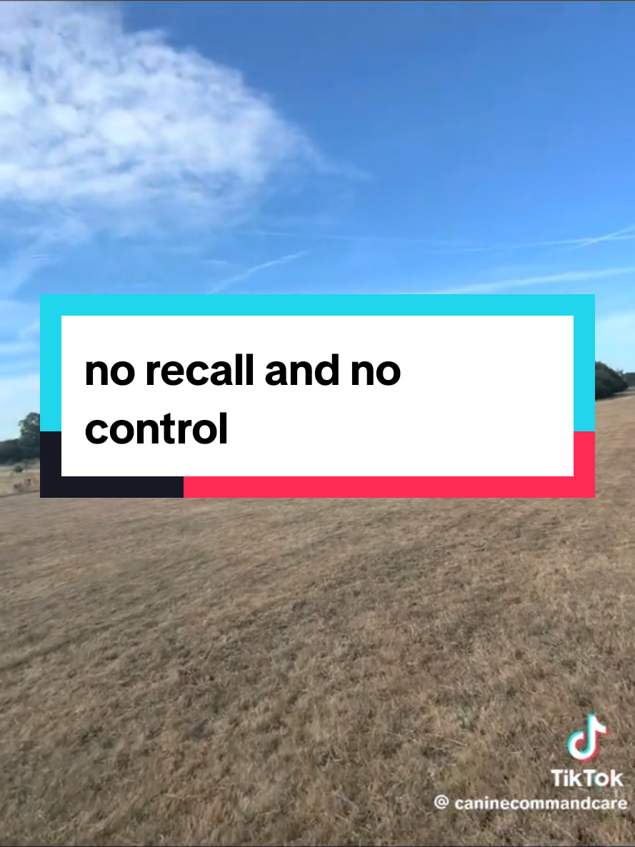 @Jessica Ball