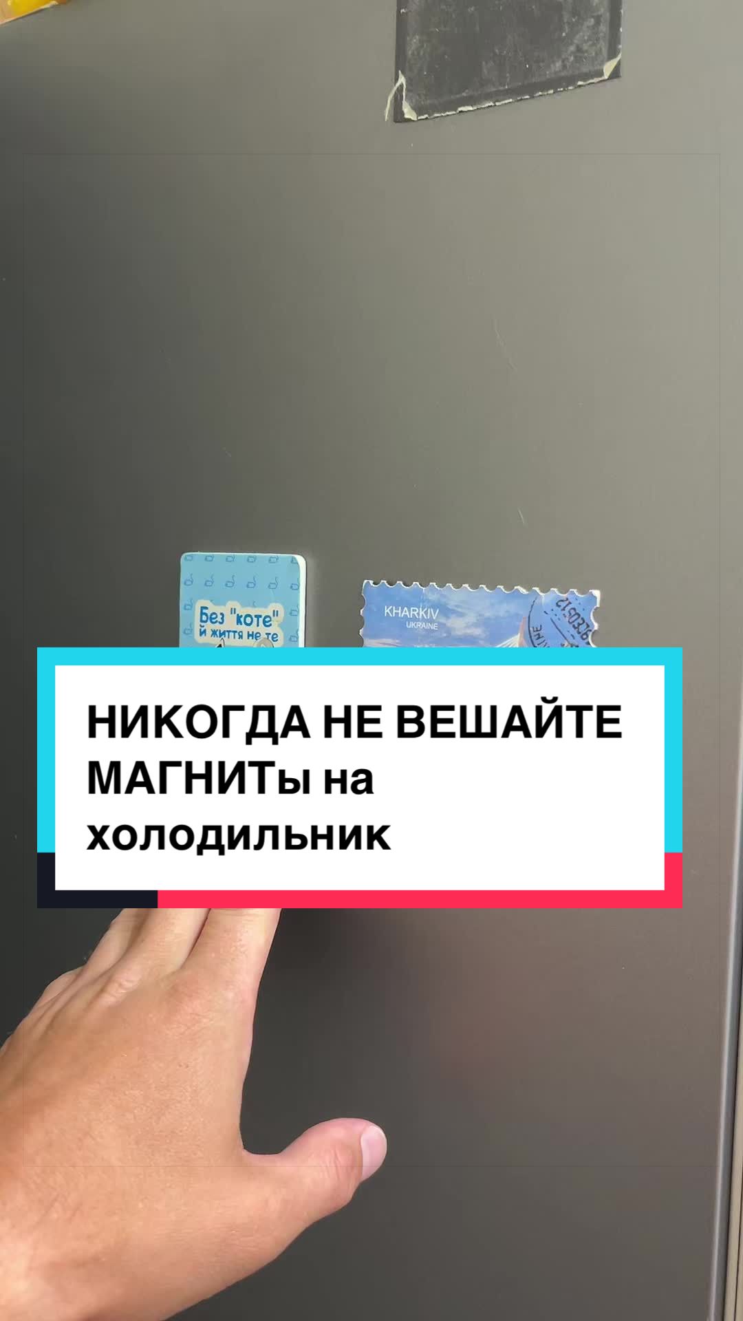 @laifhak_mozgi