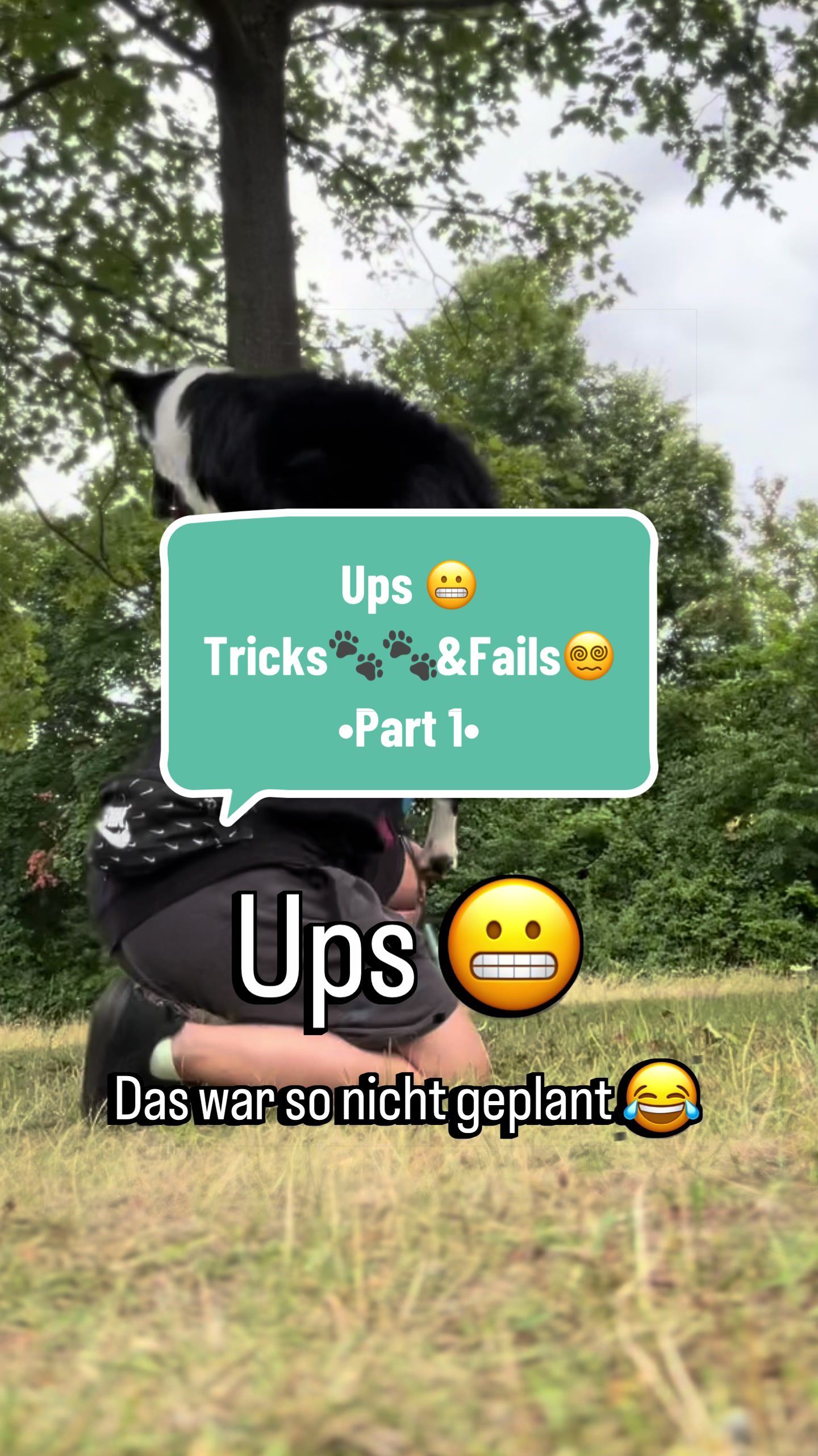 @elas.pet.diary