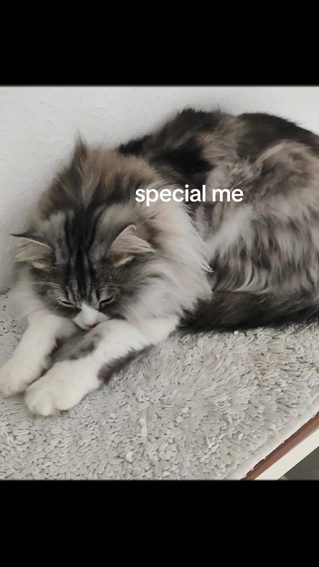 @LeonMylo