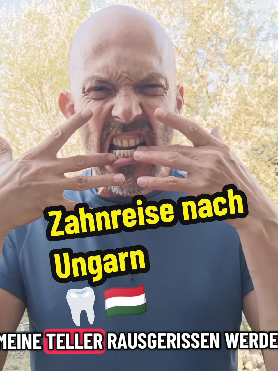 @berndout