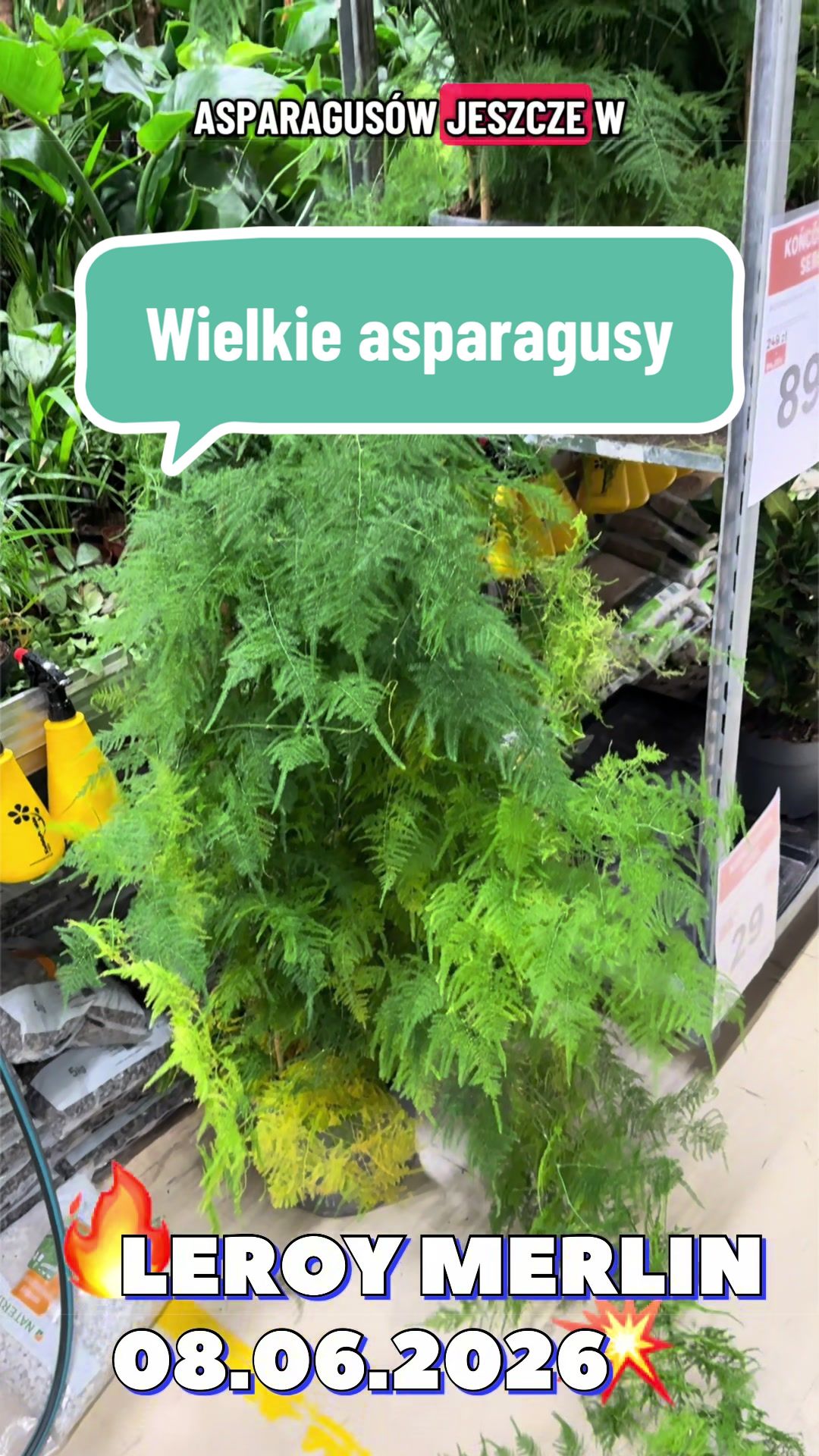 @maciej.plants