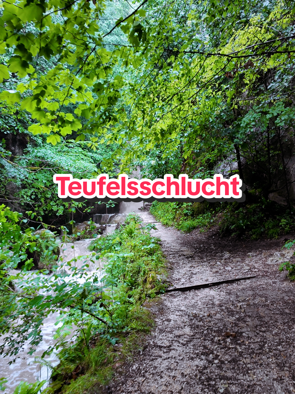 @Am Puls der Natur
