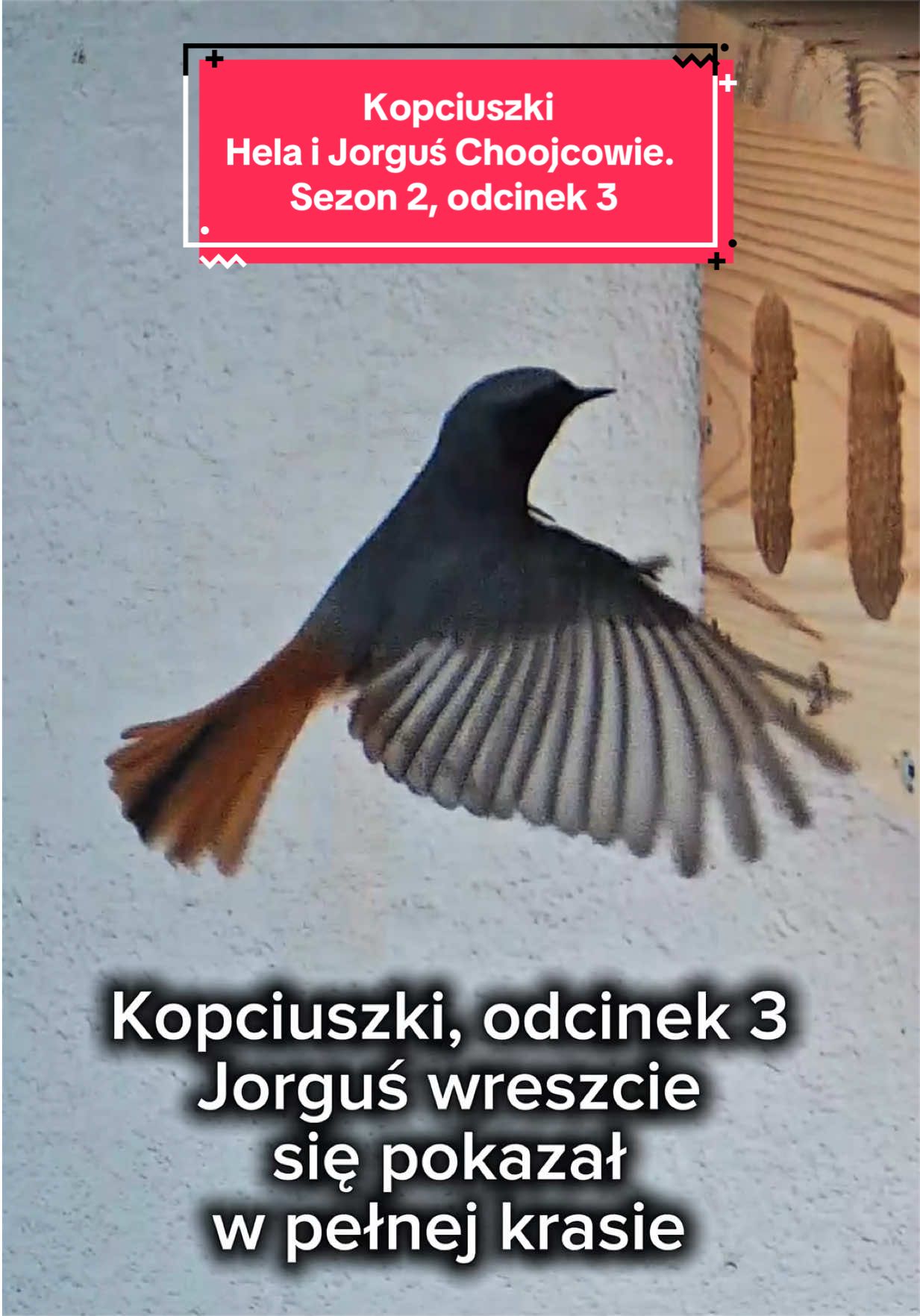 @broda_cza_swiat