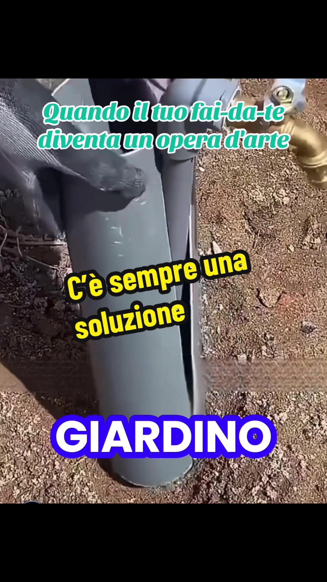 @Alessandro Cuomo ♌️