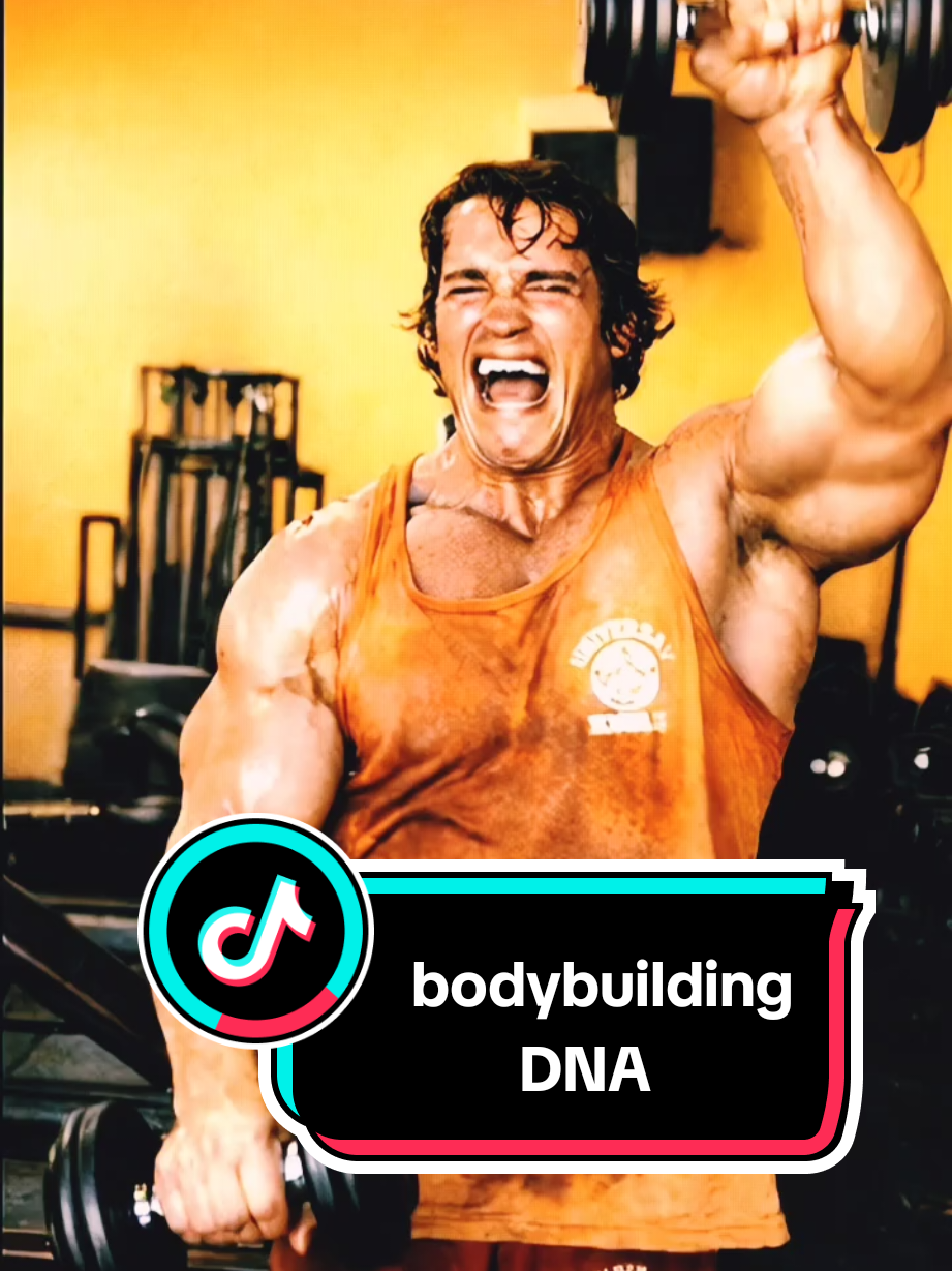 @bodybuildingDNA