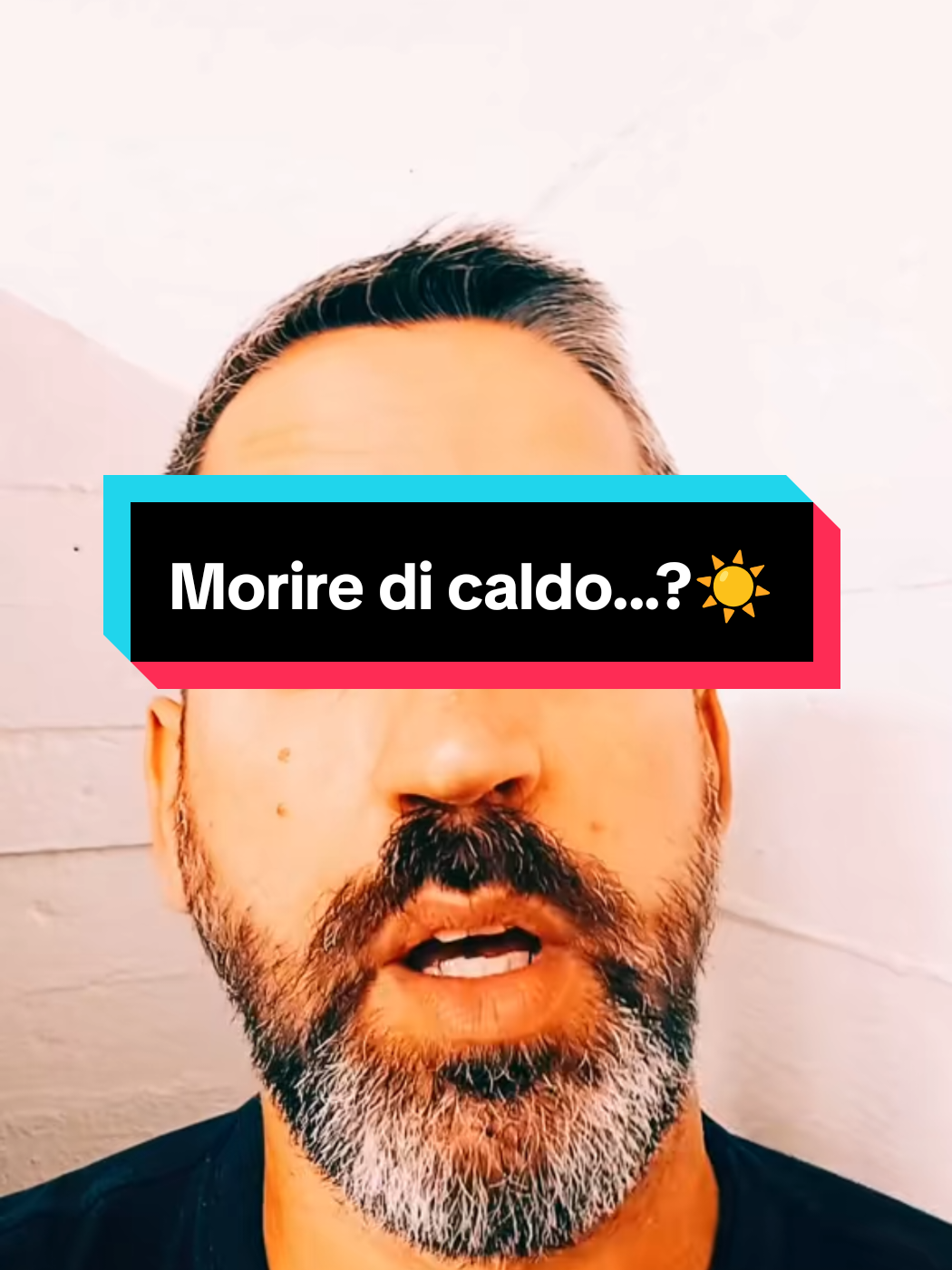 @Manuelnapo84