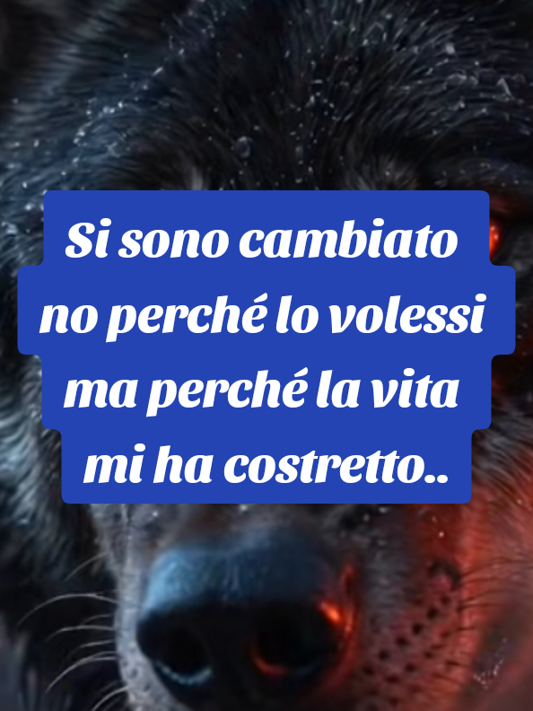@ALESSANDRO_IL_ROMANO