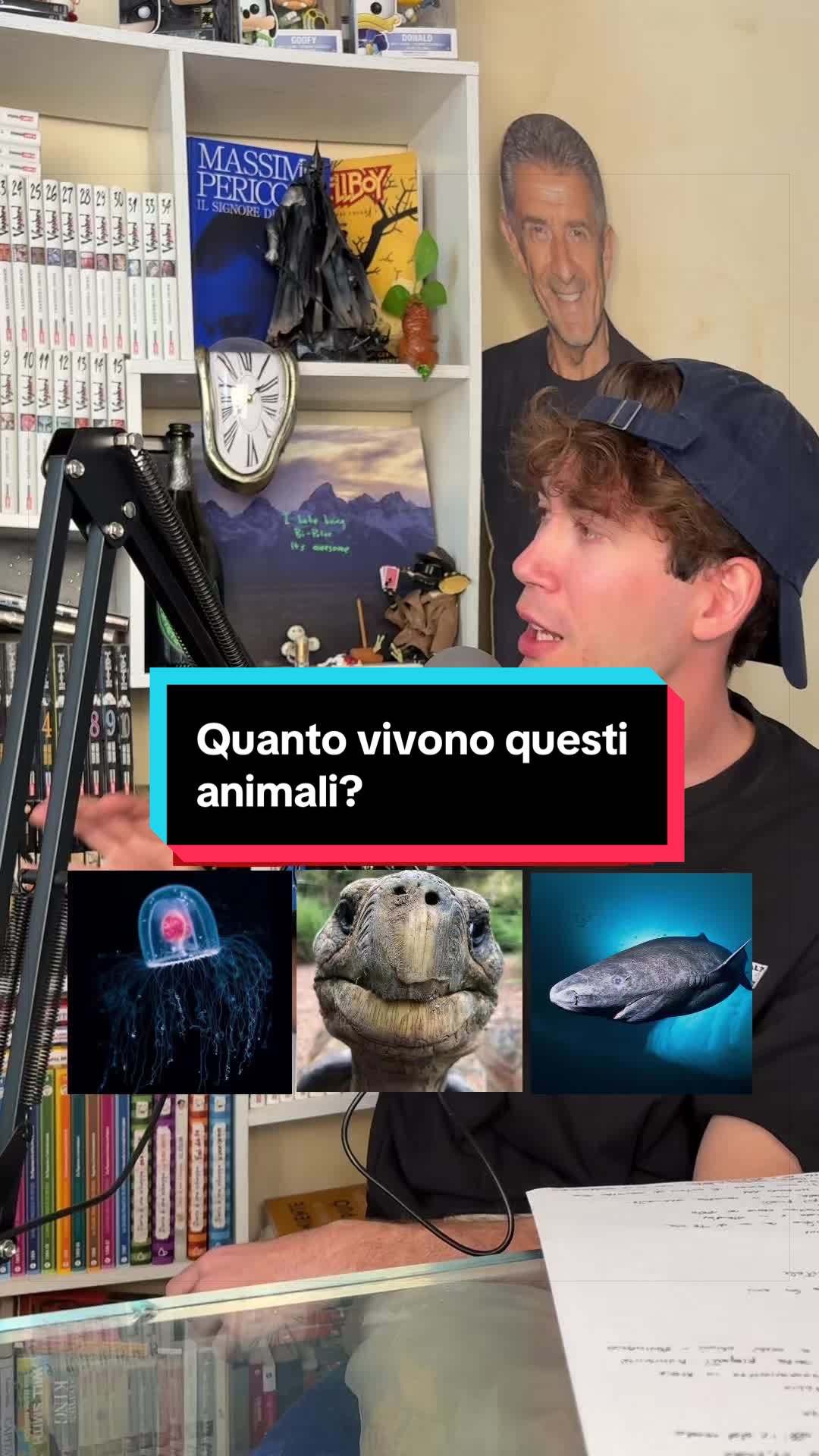 @Lo ScheleGatto