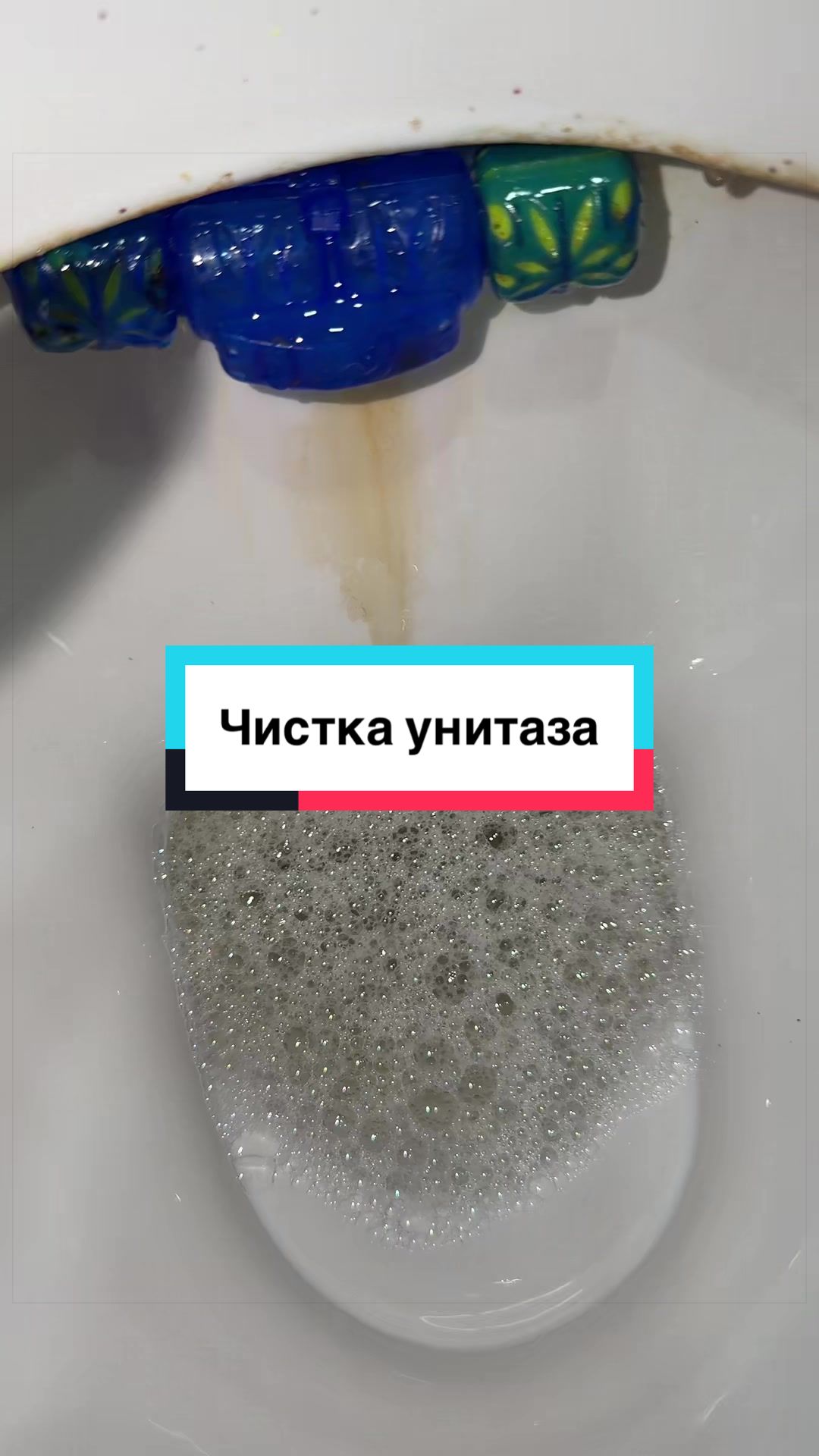 @laifhak_mozgi