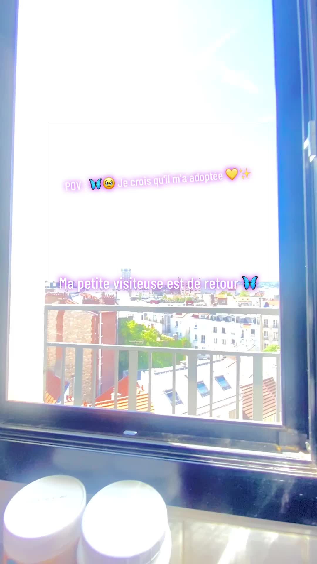 @𝒾𝓏𝒾𝓃𝑒𝒷𝓏⃟𝓋𝒾𝒷𝑒𝓈🎩🦋ⵣ