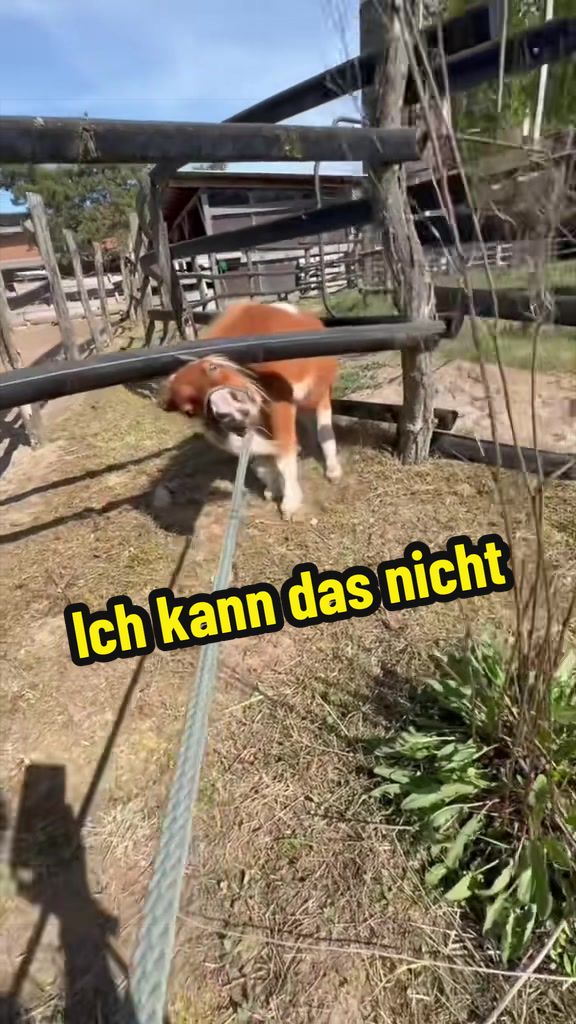 @Edda
