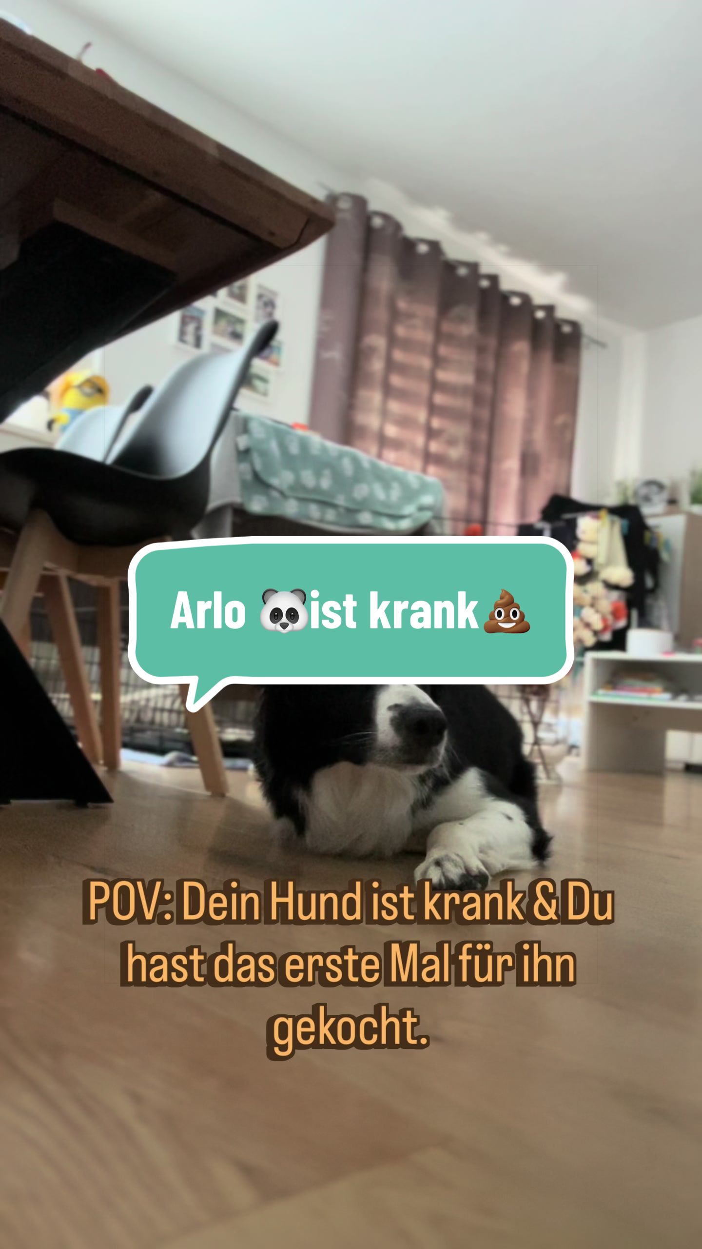 @elas.pet.diary