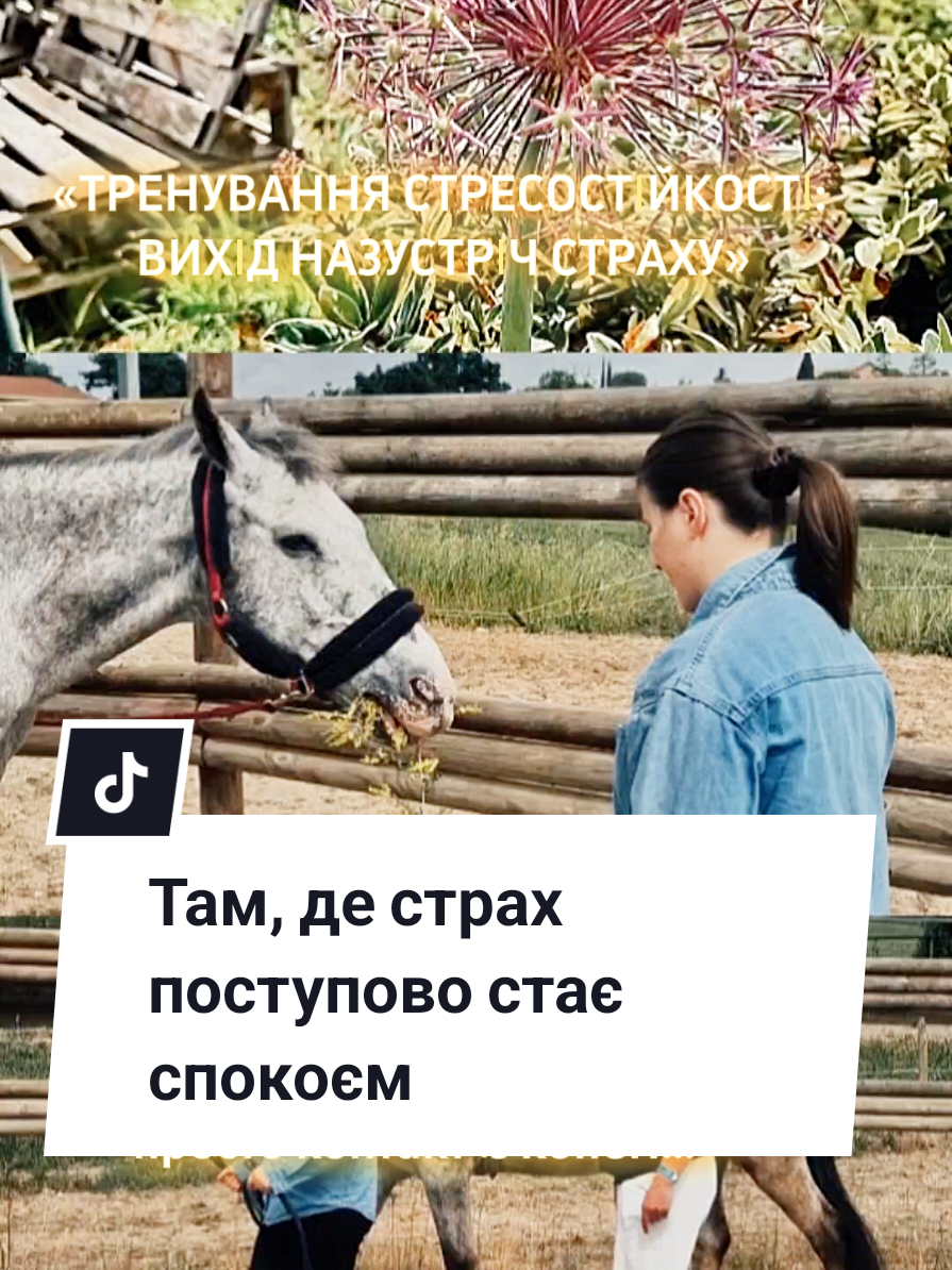 @Olga Popovych