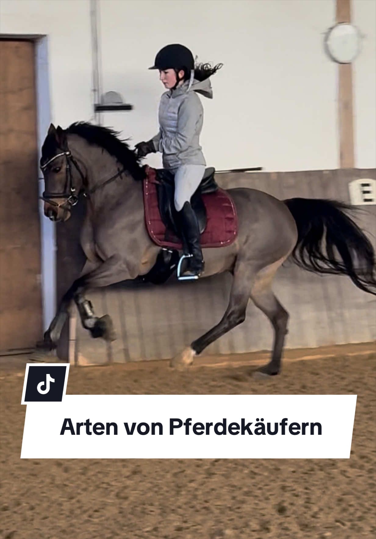 @Sophia • SL Reitschule
